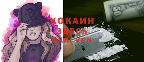 шишки Балабаново