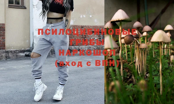 шишки Балабаново