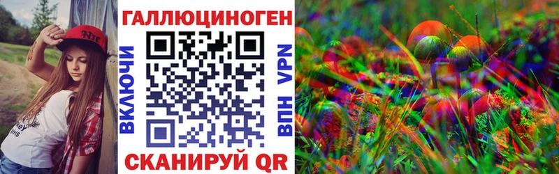 Псилоцибиновые грибы Psilocybine cubensis  Озёры 